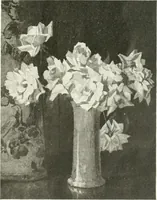 An illustration from International studio (1897)