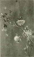 An illustration from International studio (1897)