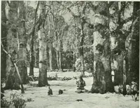 An illustration from International studio (1897)