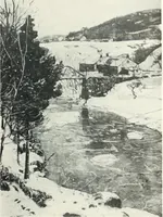 Picture 16 of 423 from International studio (1897), leaf 34