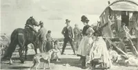 Picture 264 of 423 from International studio (1897), leaf 348