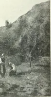 Picture 304 of 423 from International studio (1897), leaf 387