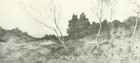 Picture 307 of 423 from International studio (1897), leaf 390