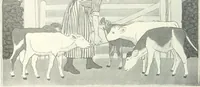 Picture 391 of 423 from International studio (1897), leaf 471