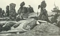 Picture 421 of 423 from International studio (1897), leaf 494