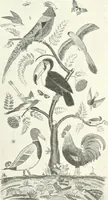 An illustration from International studio (1897)