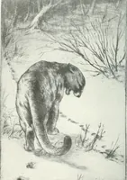 An illustration from International studio (1897)