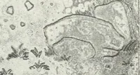 An illustration from International studio (1897)