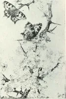 An illustration from International studio (1897)