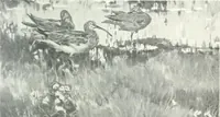 An illustration from International studio (1897)