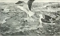 An illustration from International studio (1897)