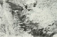An illustration from International studio (1897)