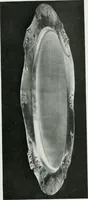 Picture 73 of 291 from International studio (1897), leaf 122