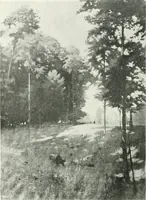 An illustration from International studio (1897)