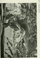 Picture 181 of 291 from International studio (1897), leaf 282
