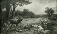 An illustration from International studio (1897)