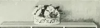 Picture 202 of 291 from International studio (1897), leaf 303