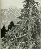 An illustration from International studio (1897)