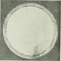 Picture 269 of 291 from International studio (1897), leaf 367