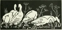 Picture 276 of 291 from International studio (1897), leaf 374