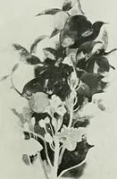 An illustration from International studio (1897)