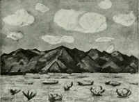 Picture 36 of 291 from International studio (1897), leaf 64