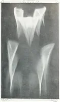 Picture 94 of 710 from International studio (1897), leaf 102