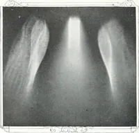 Picture 95 of 710 from International studio (1897), leaf 103