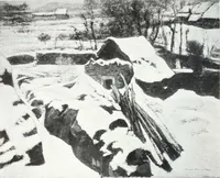 Picture 109 of 710 from International studio (1897), leaf 119