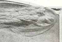 An illustration from International studio (1897)