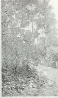 Picture 159 of 710 from International studio (1897), leaf 164