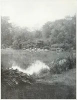 Picture 166 of 710 from International studio (1897), leaf 171