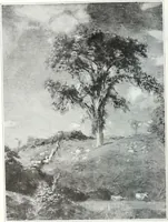 Picture 223 of 710 from International studio (1897), leaf 233