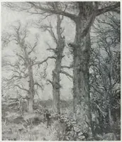 Picture 225 of 710 from International studio (1897), leaf 235