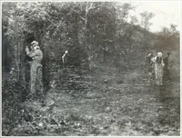 Picture 343 of 710 from International studio (1897), leaf 342
