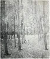 Picture 386 of 710 from International studio (1897), leaf 378