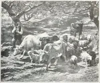 Picture 477 of 710 from International studio (1897), leaf 458