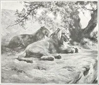 Picture 478 of 710 from International studio (1897), leaf 459