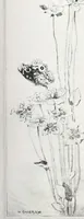 Picture 517 of 710 from International studio (1897), leaf 492