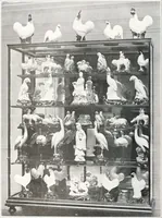 Picture 537 of 710 from International studio (1897), leaf 507