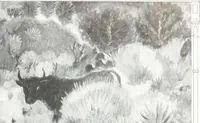 Picture 64 of 710 from International studio (1897), leaf 74