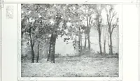 Picture 87 of 710 from International studio (1897), leaf 96