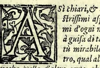 An illustration from Intertenimento illustre del senso, & della ragione : in forma di dialogo con gli suoi intermedij apparenti (1604)