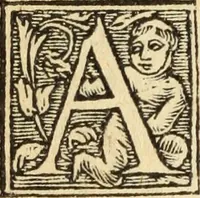 An illustration from In titulum de regulis iuris : commentaria non contemnenda sanè inter iustitiae proceres (1546)