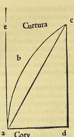 Picture 15 of 33 from Introductio geographica Petri Apiani in doctissimas Verneri annotationes, co[n]tinens plenum intellectum [et] iudicium omnis operationis, quæ per sinus [et] chordas in géographia confici potest, adiuncto radio astronomico cum quadrante nouo meteoroscopii loco longe vitilissimo. : Huic accedit translatio noua primi libri Géographiæ Cl. Ptolemæi . (1533), leaf 104