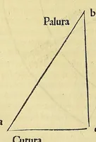 Picture 16 of 33 from Introductio geographica Petri Apiani in doctissimas Verneri annotationes, co[n]tinens plenum intellectum [et] iudicium omnis operationis, quæ per sinus [et] chordas in géographia confici potest, adiuncto radio astronomico cum quadrante nouo meteoroscopii loco longe vitilissimo. : Huic accedit translatio noua primi libri Géographiæ Cl. Ptolemæi . (1533), leaf 104