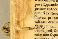 Picture 7 of 19 from Introductio in dialecticam Aristotelis, (1578), leaf 44