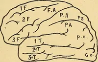 An illustration from Introduction à la médecine de l'esprit (1898)