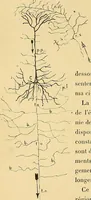 An illustration from Introduction à la médecine de l'esprit (1898)