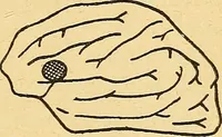An illustration from Introduction à la médecine de l'esprit (1898)